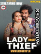 Lady Thief (2025) NeonX Hindi Short Hot Film